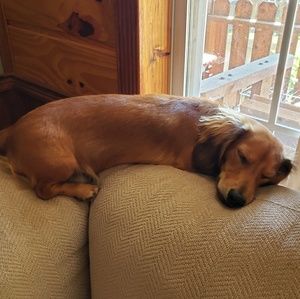 Meet your Posher, Robin